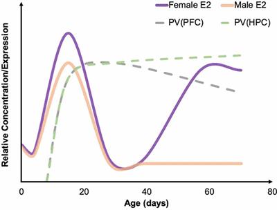 Sex Differences in Affective Dysfunction and Alterations in Parvalbumin in Rodent Models of Early Life Adversity